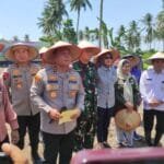 Dorong Swasembada Pangan, Polda Kaltim Tanam Jagung Serentak di Kuartal IV 2025