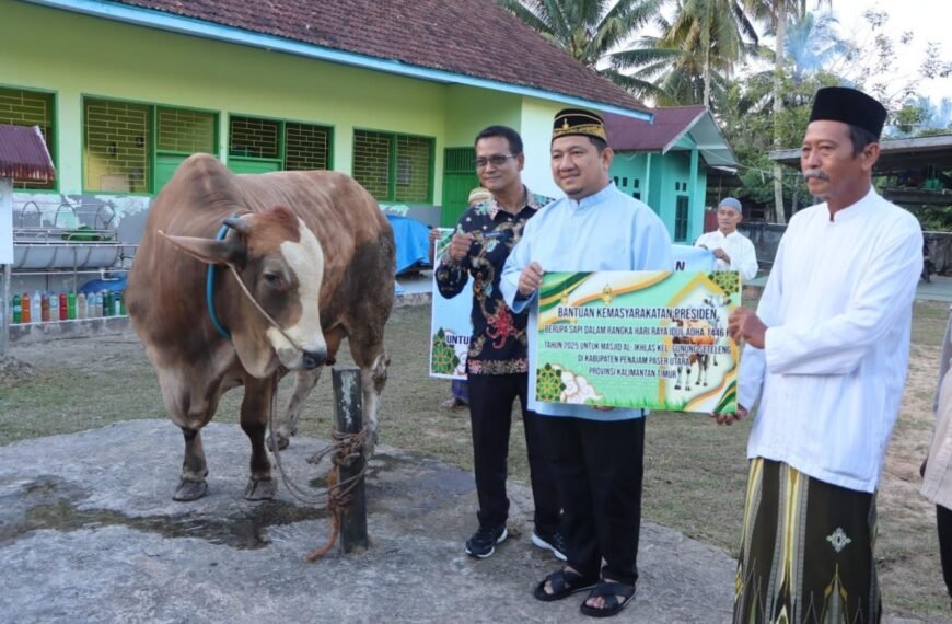 Mudyat Noor Serahkan Sapi Kurban Presiden Berbobot 910 Kilogram