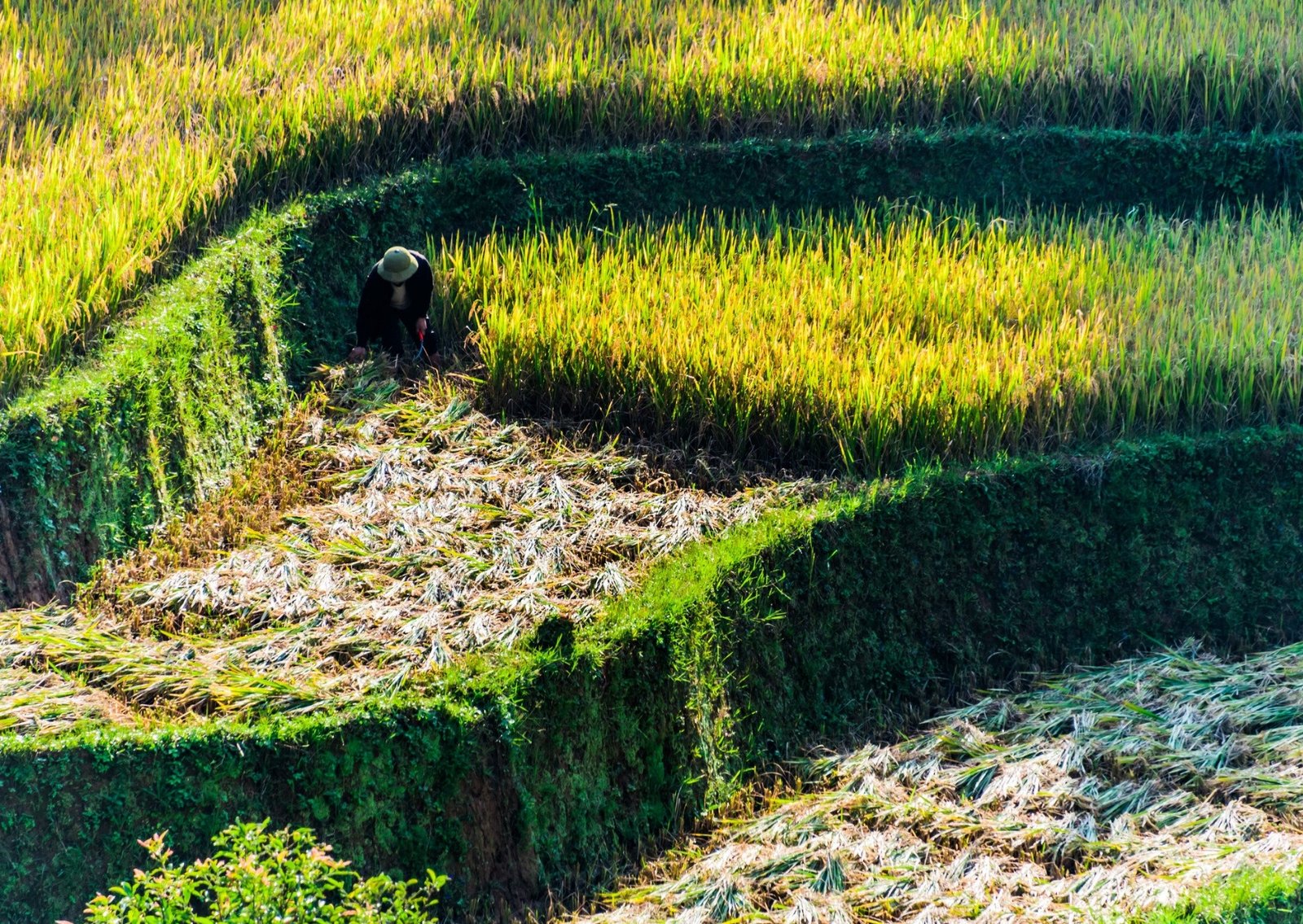 Foto berita protimes.co 20251224 141241 0000 Alih Fungsi Sawah Marak, DPR Tawarkan Solusi Swasembada PROKALTIM