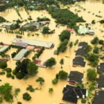 Ekspansi Sawit Berpotensi Picu Dampak Lingkungan, Pakar Ingatkan Ancaman Deforestasi