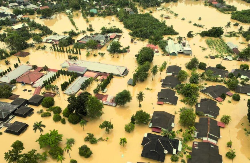 Ekspansi Sawit Berpotensi Picu Dampak Lingkungan, Pakar Ingatkan Ancaman Deforestasi