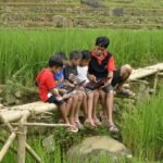 Internet Desa Wajib Dikelola, Kaltim Ingatkan Risiko Jika Abai