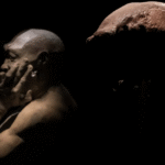 Belanda Kembalikan Fosil “Manusia Jawa” ke Indonesia, 40 Ribu Koleksi Akan Menyusul