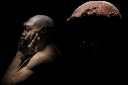 Belanda Kembalikan Fosil “Manusia Jawa” ke Indonesia, 40 Ribu Koleksi Akan Menyusul PROKALTIM 4 manusia jawaprotimes.co Belanda Kembalikan Fosil “Manusia Jawa” ke Indonesia, 40 Ribu Koleksi Akan Menyusul PROKALTIM