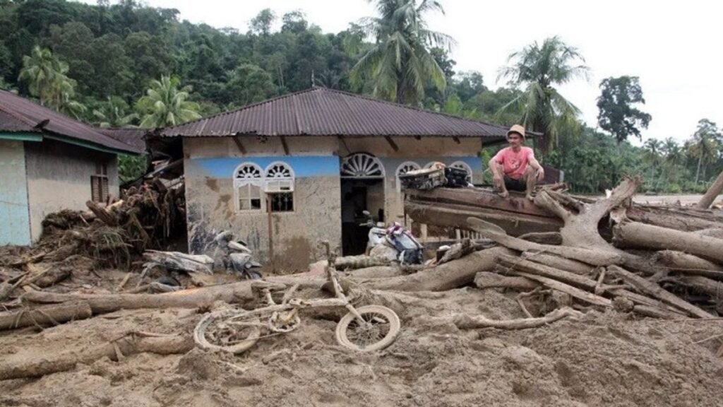 Koperasi dilibatkan untuk pemulihan ekonomi daerah bencana Sumatra Koperasi dilibatkan untuk pemulihan ekonomi daerah bencana Sumatra PROKALTIM