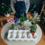 Tips Tanaman Praktis untuk Mempercantik Rumah dengan Sentuhan Alami