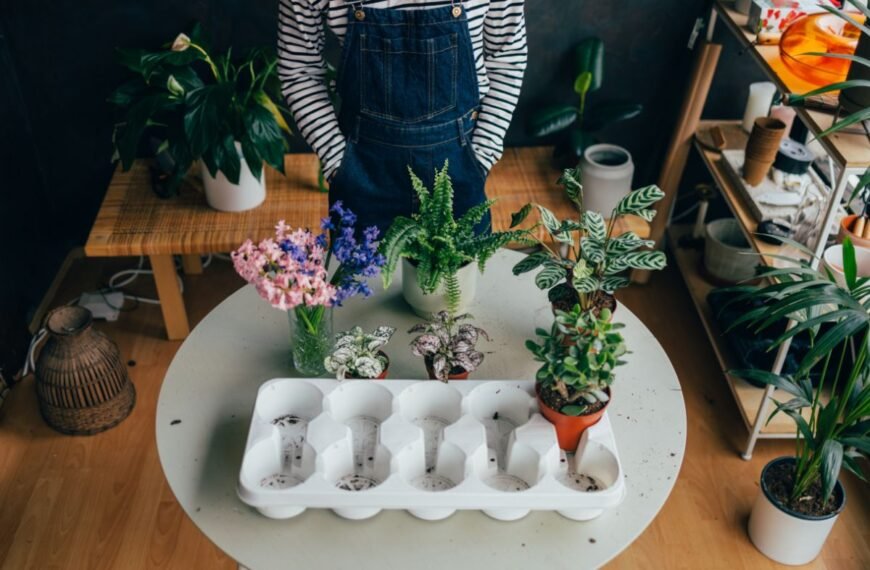 Tips Tanaman Praktis untuk Mempercantik Rumah dengan Sentuhan&hellip;