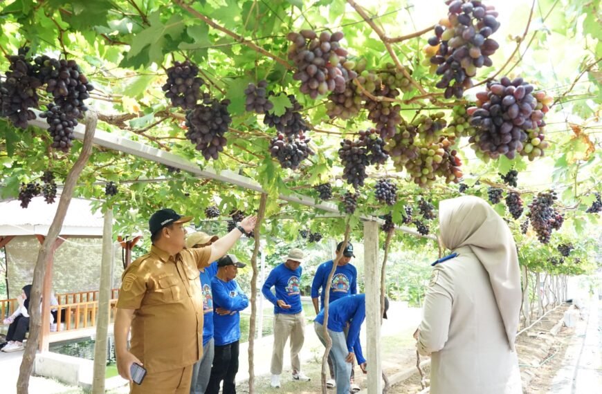 Jadi Kawasan Agrowisata Favorit Kota Palu,&hellip;