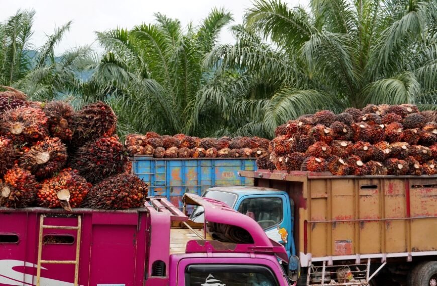 Indonesia mendesak Uni Eropa mematuhi putusan WTO soal diskriminasi sawit sebelum batas akhir periode implementasi.
