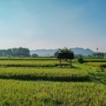 Kementerian ATR/BPN Dukung Swasembada Pangan Lewat Penguatan Kebijakan LBS, LP2B, dan LSD