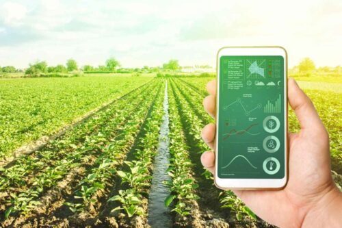 anak muda didorong aktif pertanian Anak Muda Didorong Masuk Agribisnis, Peluang Besar di Tengah Masuknya Konglomerat PROKALTIM